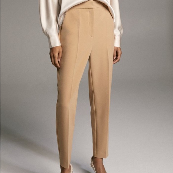 Aritzia Babaton Renzo Pant Slim Fit Trouser TAUPE - Picture 6 of 13